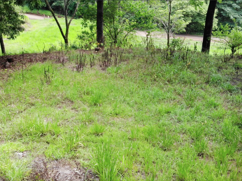 0 bed Land For Sale in Samara, Guanacaste - 1